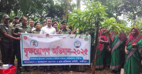 কালিয়াকৈর উপজেলার তৃণমূল পর্যায়ে বৃক্ষরোপন কর্মসূচি পালন