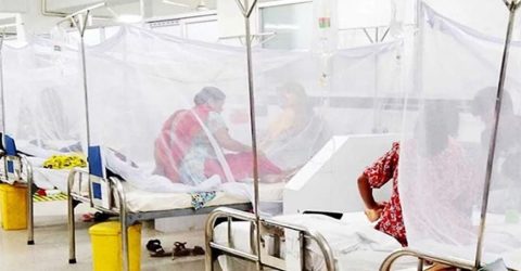 ডেঙ্গুতে আরও ৬ জনের মৃত্যু, হাসপাতালে ভর্তি ৯৮৩